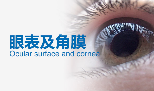 眼整形眼外伤科